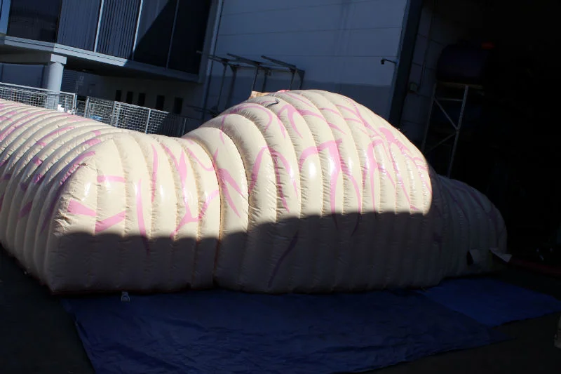 Full-length view of the inflatable digestive system exhibit set up outdoors