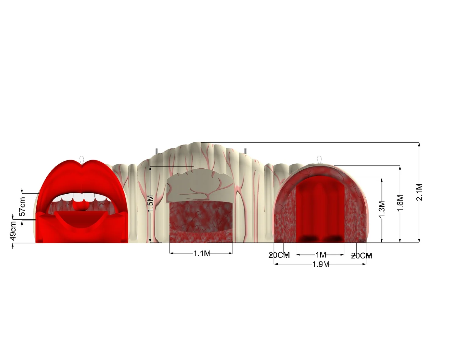 Dimensioned elevation drawing of the exhibit